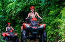 Ubud Gorilla Face ATV, Rice Terraces and Waterfall Tour