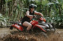 Ubud Gorilla Face ATV, Rice Terraces and Waterfall Tour