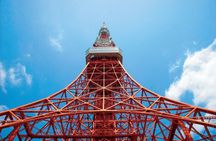 Tokyo Dynamic Full Day Tour: Matcha Making, Bay Cruise & Lunch