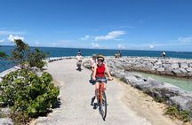 Okinawa Seaside Cycling Bike Tour in Chatan Pick-up available
