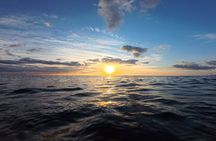 Okinawa West Coast Paddle-boarding adventures Pickup available