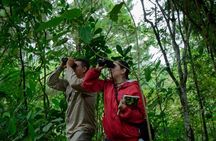 Munduk Twin Lake Jungle Trek with Sacred Forest Temples&Canoeing