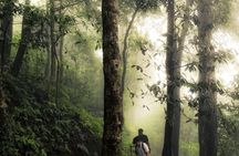 Munduk Twin Lake Jungle Trek with Sacred Forest Temples&Canoeing
