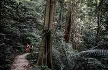 Munduk Twin Lake Jungle Trek with Sacred Forest Temples&Canoeing