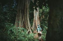 Munduk Twin Lake Jungle Trek with Sacred Forest Temples&Canoeing