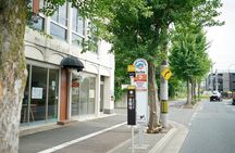 Kyoto Hop-On Hop-off sightseeing Tour