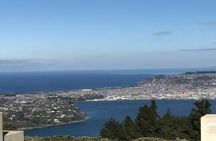 Private Shore Excursion: Showcase Of Dunedin Nz