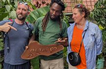 Best & Top of Arusha; Coffee Tour and Waterfall Hike.