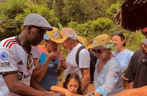 Materuni Waterfall Hike & Authentic Chagga Coffee Lunch