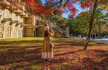 Gyeongju Autumn Foliage & Pink Muhly Tour from Busan