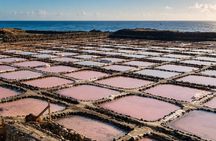 Gran Canaria: Caves & Salt Tour with Cheese Workshop