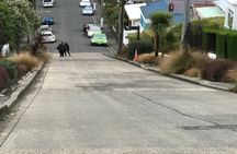 Dunedin Onshore Cruise Group Tour