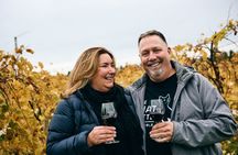 Experience the Wines of the Montérégie in a Private Tour