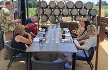 Napa Valley Wine Tasting E Bike Tour