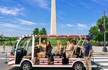 DC's Monuments & Landmark Guided Small Group E-Cart Tour
