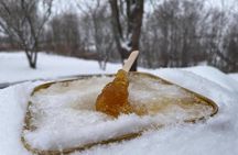 Tree to Table Maple Syrup Farm Tour