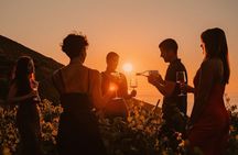 Vineyard Tour & Wine Tasting - Estate L’Heritage Korres YASTRA