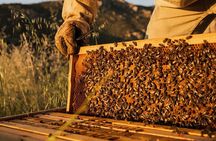 Naxos Estate Olive Oil & Honey Tasting & Farm-to-Table Breakfast