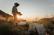 Naxos Estate Olive Oil & Honey Tasting & Farm-to-Table Breakfast
