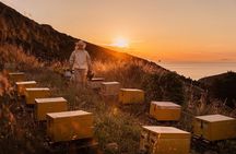 Naxos Estate Olive Oil & Honey Tasting & Farm-to-Table Breakfast