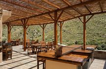 Naxos Estate Olive Oil & Honey Tasting & Farm-to-Table Breakfast