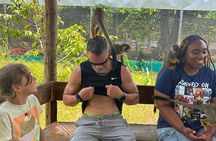 Monkeys City Tours Amber Cove and Taino Bay Port Puerto Plata