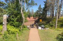 Private Bay of Fundy Tour: Walk the Ocean Floor at Burntcoat Head