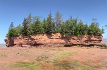 Private Bay of Fundy Tour: Walk the Ocean Floor at Burntcoat Head