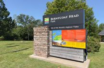 Private Bay of Fundy Tour: Walk the Ocean Floor at Burntcoat Head