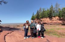 Private Bay of Fundy Tour: Walk the Ocean Floor at Burntcoat Head