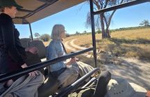 From Victoria Falls: Hwange National Park Day Safari with Lunch
