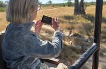 From Victoria Falls: Hwange National Park Day Safari with Lunch