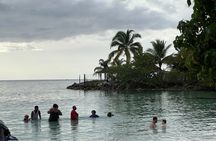 Negril Catamaran Party Cruise Experience