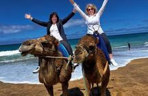 Tangier Shore Excursion Tailored for Cruise Passengers⁠