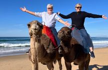 Tangier Shore Excursion Tailored for Cruise Passengers⁠