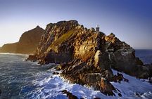 Full Day Cape Town Peninsula Tour