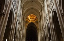 Discover La Plata Cathedral Museum of Natural Sciences and Forest