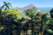 Tijuca Forest: Waterfalls, Caves, Wildlife & Scenic Views