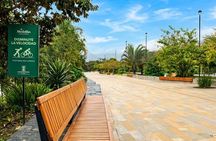 Medellin Exclusive : Tour Communa 13 & Centro & Food