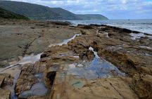Great Ocean REVERSE - (OTR.Melbourne)