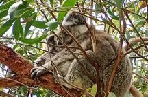 Great Ocean REVERSE - (OTR.Melbourne)