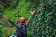 Koloa Zipline in Kauai