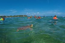 Snorkeling with turtles and swimming in cenote with crystal clear waters