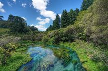 From Hamilton Waitomo Glowworms Blue Springs and Kiwi House
