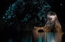 From Hamilton Waitomo Glowworms Blue Springs and Kiwi House