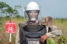 Siem Reap: City Highlights Tour & APOPO Hero Rat Experience