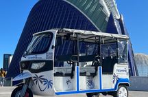 Tour Tuk Tuk Valencia 2h Discover History and Modernity