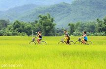 Hanoi/Ninh Binh: Mai chau & Pu Luong 2-Day Trekking & Local Life
