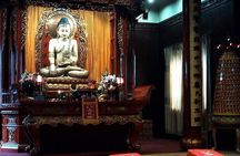 Private Shanghai Full Day City Tour