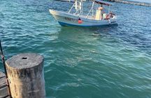 Puerto Morelos Reef Snorkeling Experience